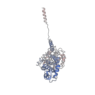 9216_6msb_V_v1-3
Cryo-EM structures and dynamics of substrate-engaged human 26S proteasome