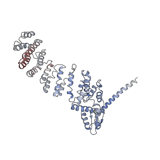 9216_6msb_W_v1-3
Cryo-EM structures and dynamics of substrate-engaged human 26S proteasome
