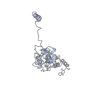 9216_6msb_d_v1-3
Cryo-EM structures and dynamics of substrate-engaged human 26S proteasome