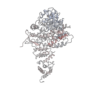 9216_6msb_f_v1-3
Cryo-EM structures and dynamics of substrate-engaged human 26S proteasome