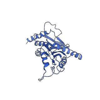 9216_6msb_i_v1-3
Cryo-EM structures and dynamics of substrate-engaged human 26S proteasome