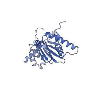 9216_6msb_j_v1-3
Cryo-EM structures and dynamics of substrate-engaged human 26S proteasome