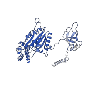 9217_6msd_A_v1-3
Cryo-EM structures and dynamics of substrate-engaged human 26S proteasome