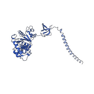 9217_6msd_C_v1-3
Cryo-EM structures and dynamics of substrate-engaged human 26S proteasome