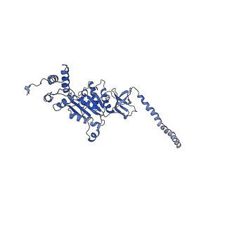 9217_6msd_D_v1-3
Cryo-EM structures and dynamics of substrate-engaged human 26S proteasome