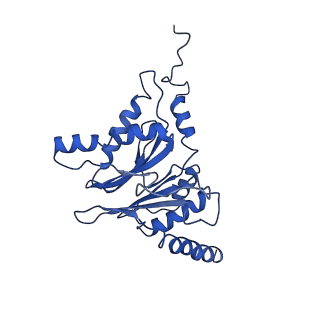 9217_6msd_I_v1-3
Cryo-EM structures and dynamics of substrate-engaged human 26S proteasome
