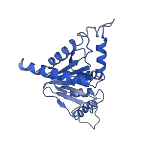 9217_6msd_J_v1-3
Cryo-EM structures and dynamics of substrate-engaged human 26S proteasome