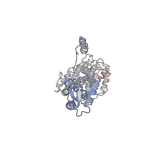 9217_6msd_V_v1-3
Cryo-EM structures and dynamics of substrate-engaged human 26S proteasome