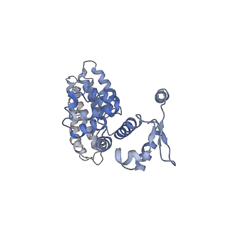 9217_6msd_Y_v1-3
Cryo-EM structures and dynamics of substrate-engaged human 26S proteasome