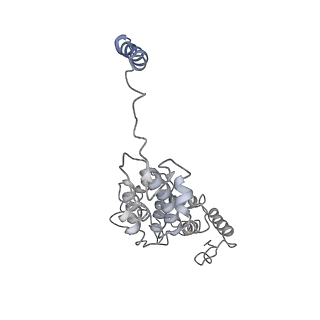 9217_6msd_d_v1-3
Cryo-EM structures and dynamics of substrate-engaged human 26S proteasome