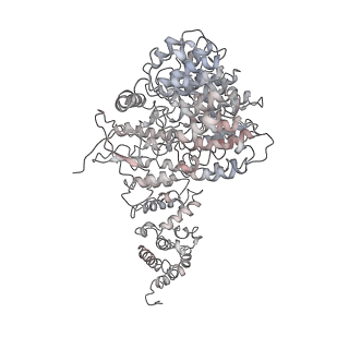 9217_6msd_f_v1-3
Cryo-EM structures and dynamics of substrate-engaged human 26S proteasome