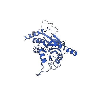 9217_6msd_i_v1-3
Cryo-EM structures and dynamics of substrate-engaged human 26S proteasome