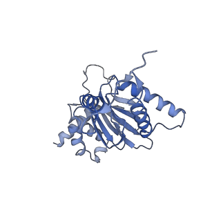 9217_6msd_j_v1-3
Cryo-EM structures and dynamics of substrate-engaged human 26S proteasome