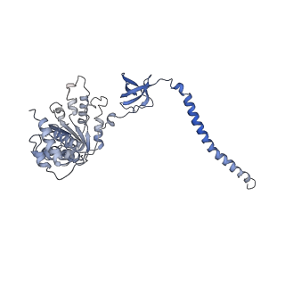 9218_6mse_C_v1-4
Cryo-EM structures and dynamics of substrate-engaged human 26S proteasome
