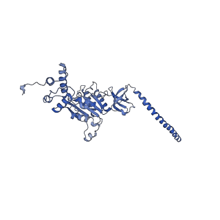 9218_6mse_D_v1-4
Cryo-EM structures and dynamics of substrate-engaged human 26S proteasome