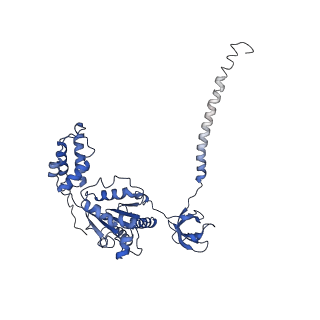 9218_6mse_E_v1-4
Cryo-EM structures and dynamics of substrate-engaged human 26S proteasome