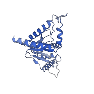 9218_6mse_J_v1-4
Cryo-EM structures and dynamics of substrate-engaged human 26S proteasome