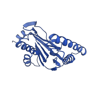 9218_6mse_R_v1-4
Cryo-EM structures and dynamics of substrate-engaged human 26S proteasome