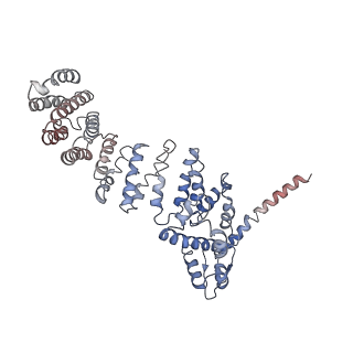 9218_6mse_W_v1-4
Cryo-EM structures and dynamics of substrate-engaged human 26S proteasome