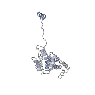 9218_6mse_d_v1-4
Cryo-EM structures and dynamics of substrate-engaged human 26S proteasome