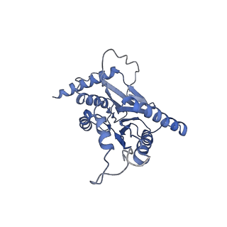 9218_6mse_i_v1-4
Cryo-EM structures and dynamics of substrate-engaged human 26S proteasome
