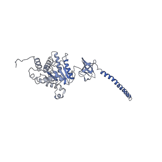 9219_6msg_D_v1-3
Cryo-EM structures and dynamics of substrate-engaged human 26S proteasome