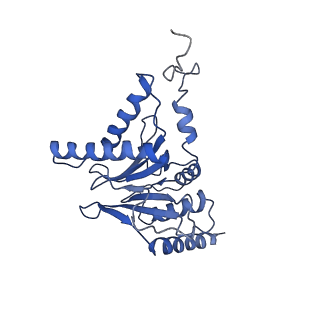 9219_6msg_I_v1-3
Cryo-EM structures and dynamics of substrate-engaged human 26S proteasome