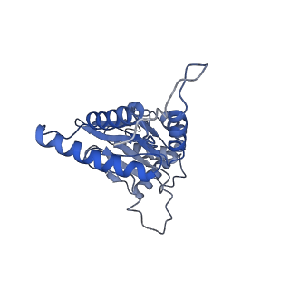 9219_6msg_J_v1-3
Cryo-EM structures and dynamics of substrate-engaged human 26S proteasome
