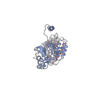 9219_6msg_V_v1-3
Cryo-EM structures and dynamics of substrate-engaged human 26S proteasome