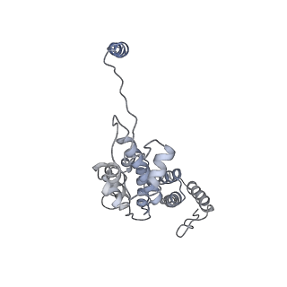 9219_6msg_d_v1-3
Cryo-EM structures and dynamics of substrate-engaged human 26S proteasome