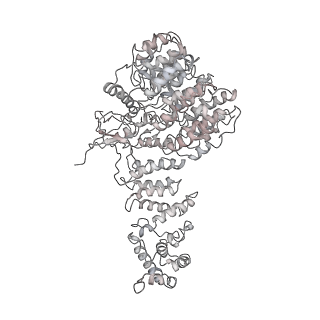 9219_6msg_f_v1-3
Cryo-EM structures and dynamics of substrate-engaged human 26S proteasome