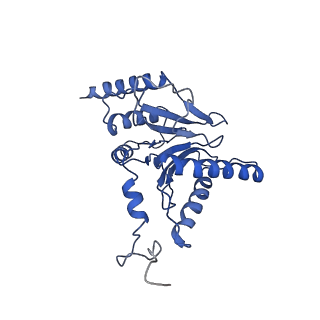9219_6msg_i_v1-3
Cryo-EM structures and dynamics of substrate-engaged human 26S proteasome