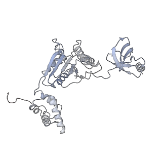 9220_6msh_B_v1-3
Cryo-EM structures and dynamics of substrate-engaged human 26S proteasome