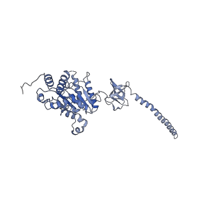 9220_6msh_D_v1-3
Cryo-EM structures and dynamics of substrate-engaged human 26S proteasome