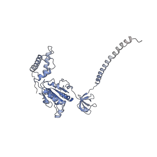 9220_6msh_E_v1-3
Cryo-EM structures and dynamics of substrate-engaged human 26S proteasome