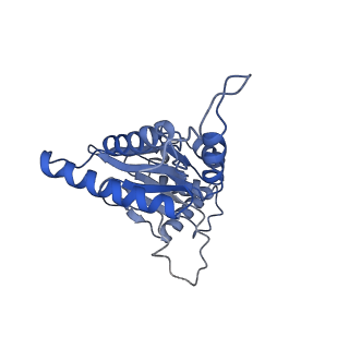9220_6msh_J_v1-3
Cryo-EM structures and dynamics of substrate-engaged human 26S proteasome
