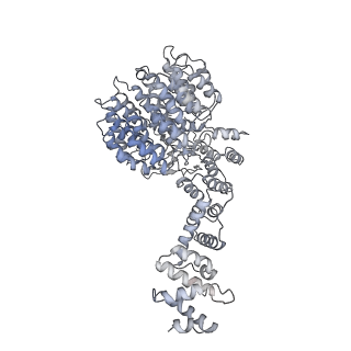 9220_6msh_U_v1-3
Cryo-EM structures and dynamics of substrate-engaged human 26S proteasome