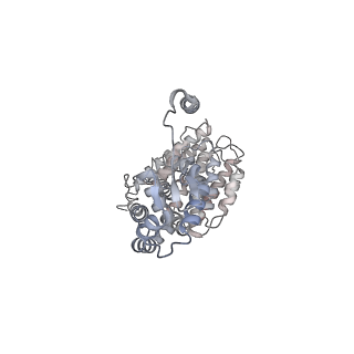 9220_6msh_V_v1-3
Cryo-EM structures and dynamics of substrate-engaged human 26S proteasome