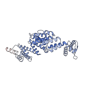 9220_6msh_X_v1-3
Cryo-EM structures and dynamics of substrate-engaged human 26S proteasome