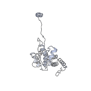 9220_6msh_d_v1-3
Cryo-EM structures and dynamics of substrate-engaged human 26S proteasome