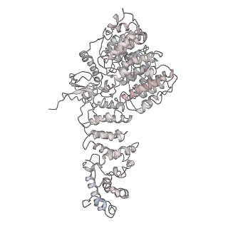 9220_6msh_f_v1-3
Cryo-EM structures and dynamics of substrate-engaged human 26S proteasome