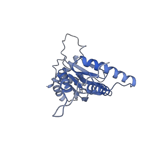 9220_6msh_j_v1-3
Cryo-EM structures and dynamics of substrate-engaged human 26S proteasome