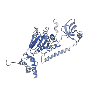 9221_6msj_B_v1-3
Cryo-EM structures and dynamics of substrate-engaged human 26S proteasome