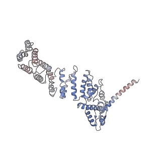 9221_6msj_W_v1-3
Cryo-EM structures and dynamics of substrate-engaged human 26S proteasome