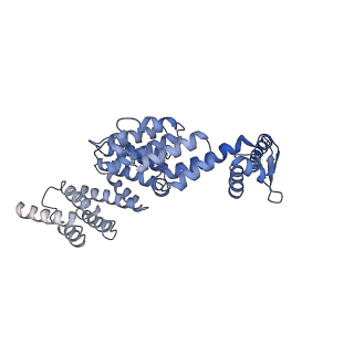 9221_6msj_X_v1-3
Cryo-EM structures and dynamics of substrate-engaged human 26S proteasome