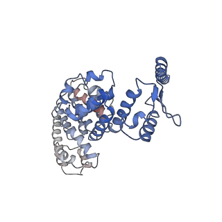 9221_6msj_Y_v1-3
Cryo-EM structures and dynamics of substrate-engaged human 26S proteasome