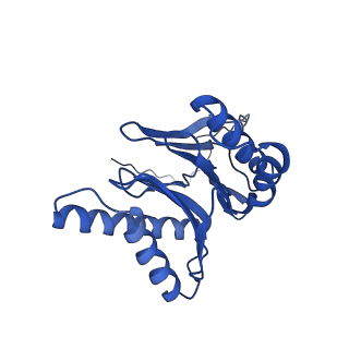 9221_6msj_o_v1-3
Cryo-EM structures and dynamics of substrate-engaged human 26S proteasome
