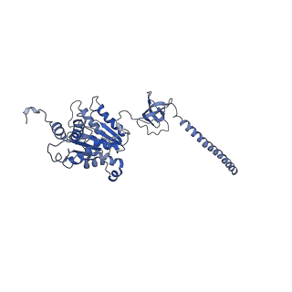 9222_6msk_D_v1-3
Cryo-EM structures and dynamics of substrate-engaged human 26S proteasome