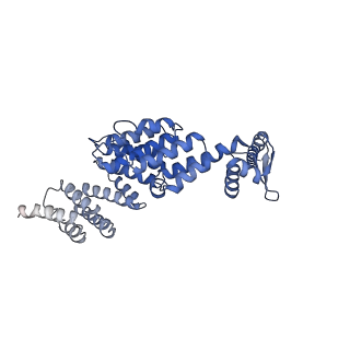 9222_6msk_X_v1-3
Cryo-EM structures and dynamics of substrate-engaged human 26S proteasome
