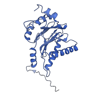 9222_6msk_h_v1-3
Cryo-EM structures and dynamics of substrate-engaged human 26S proteasome